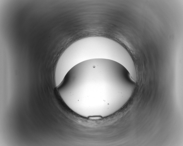 X0000096650022200802261330