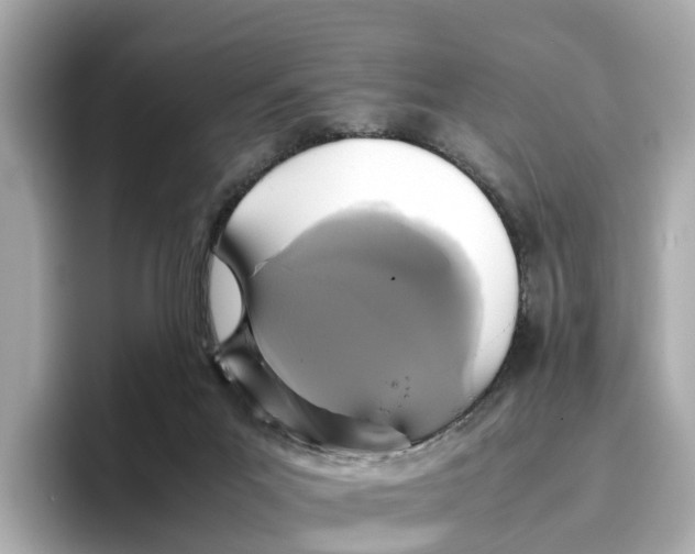 X0000096650023200802261330