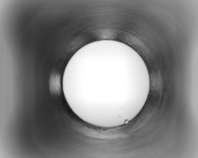 X0000096650028200802261330