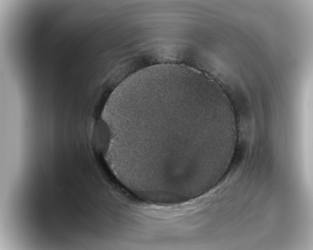 X0000096650029200802261330