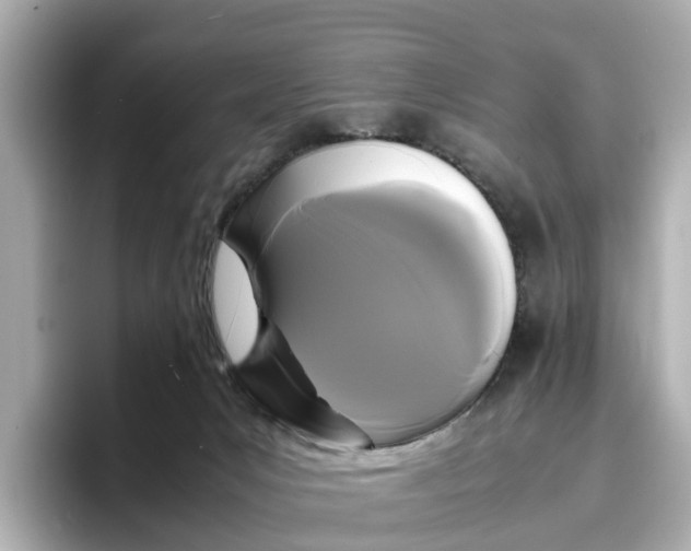 X0000096650031200802261330