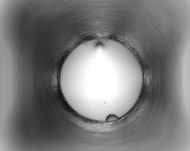 X0000096650032200802261330