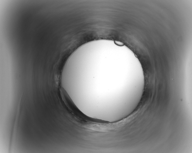 X0000096650033200802261330