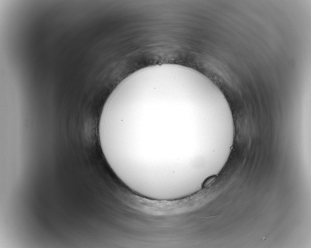 X0000096650034200802261330