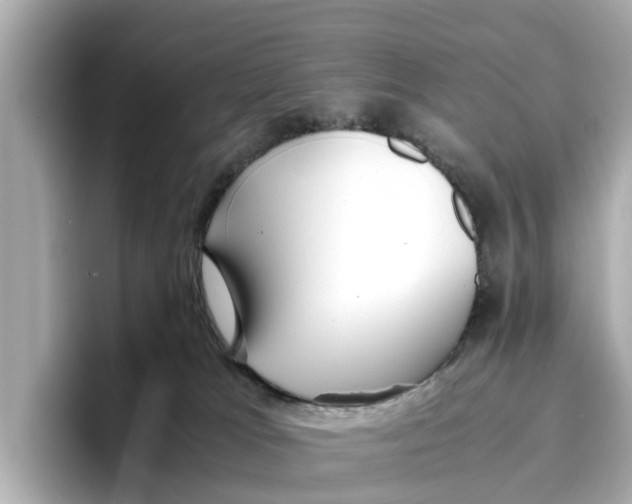 X0000096650037200802261330