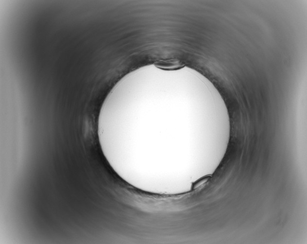 X0000096650040200802261330