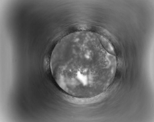 X0000096650043200802261330