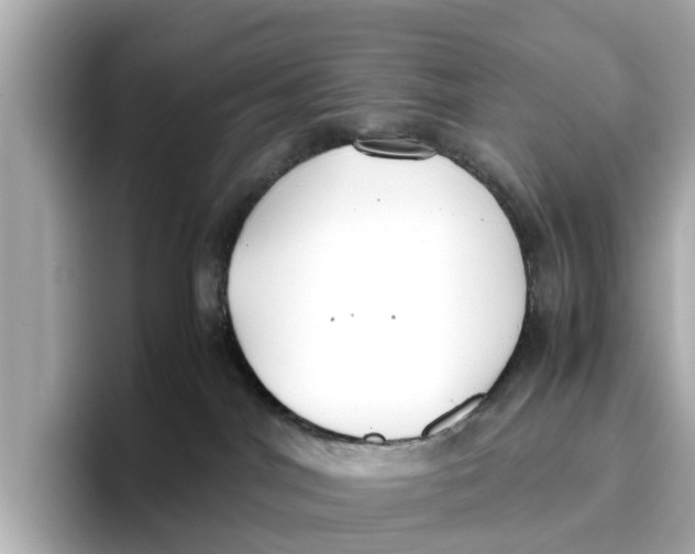 X0000096650044200802261330