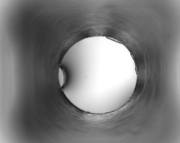 X0000096650045200802261330