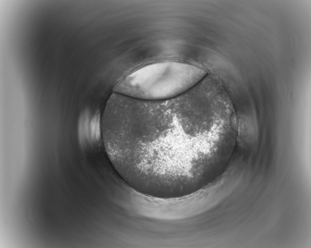 X0000096650046200802261330