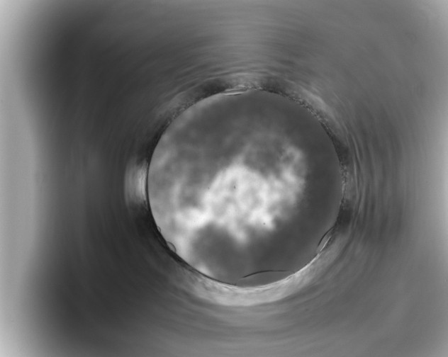 X0000096650047200802261330