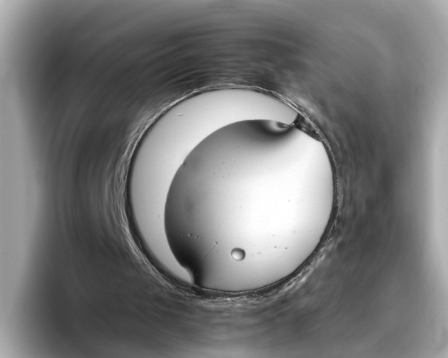 X0000096650049200802261329