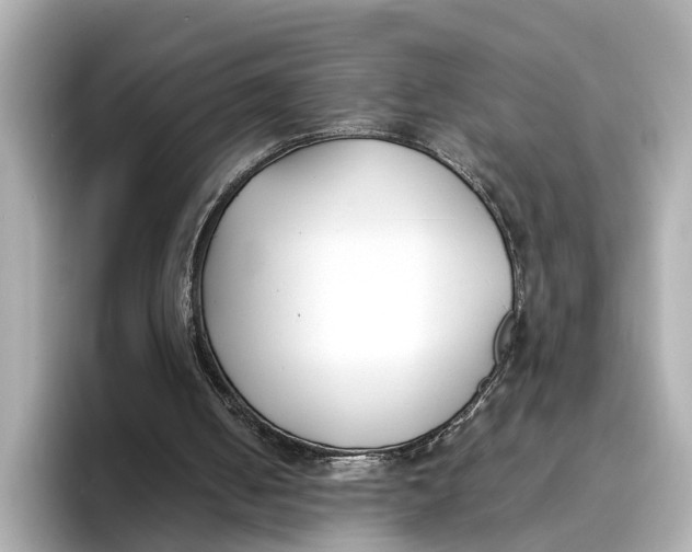 X0000096650050200802261329