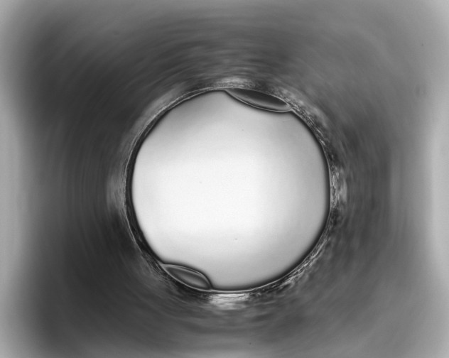 X0000096650051200802261329