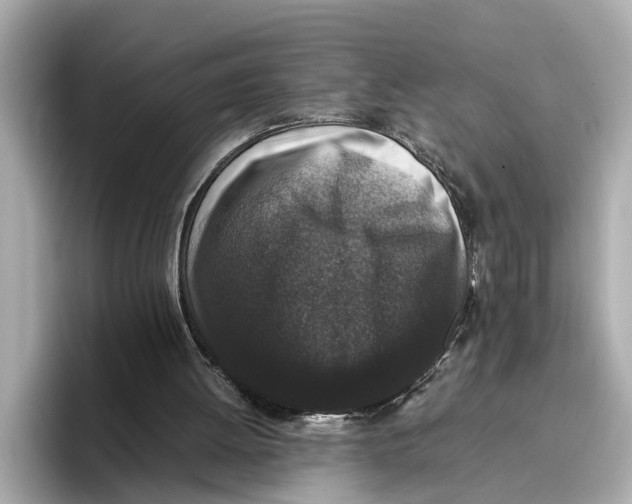 X0000096650052200802261329