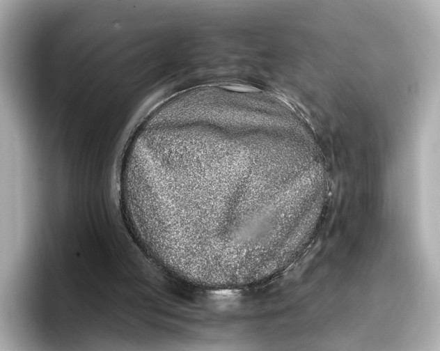 X0000096650053200802261329