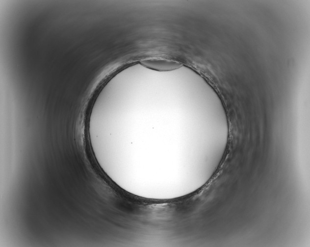 X0000096650054200802261329