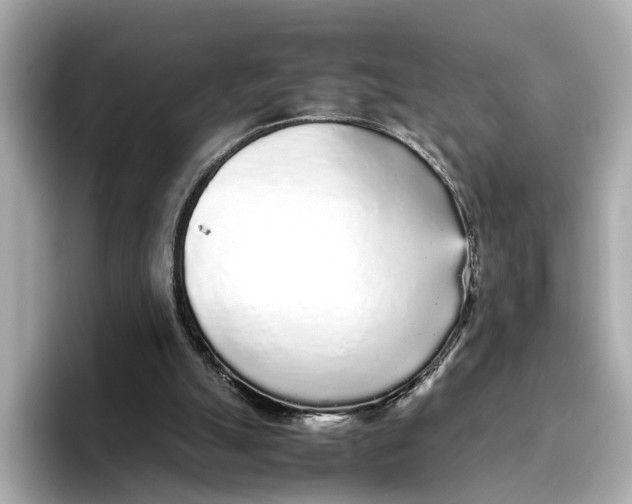 X0000096650055200802261329