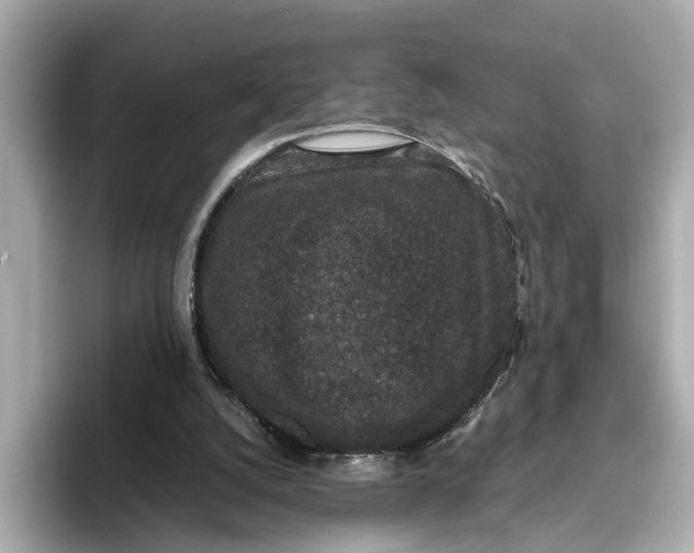 X0000096650056200802261329