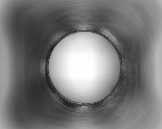 X0000096650058200802261329