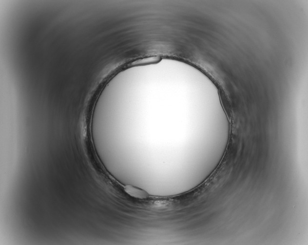 X0000096650060200802261329