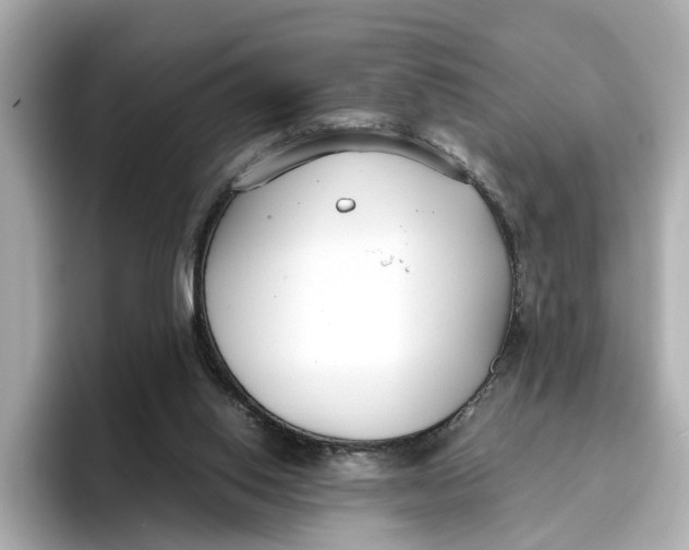 X0000096650062200802261329