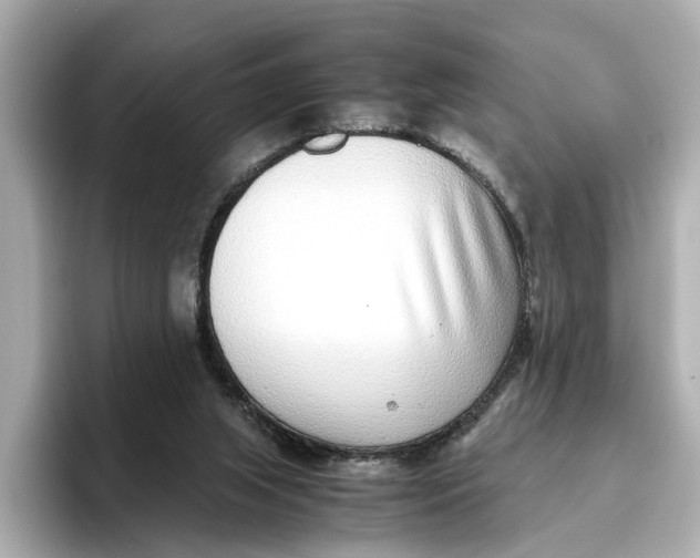 X0000096650063200802261329