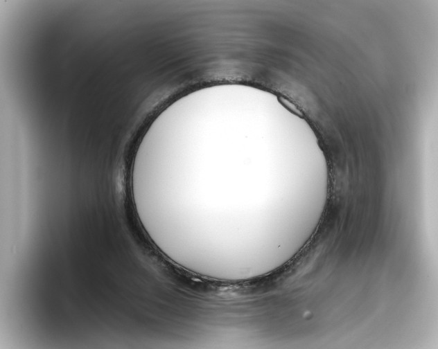 X0000096650064200802261330