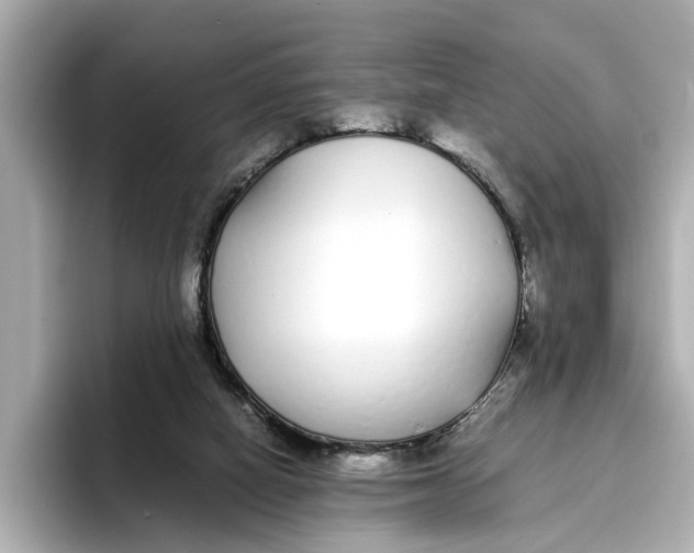 X0000096650066200802261330