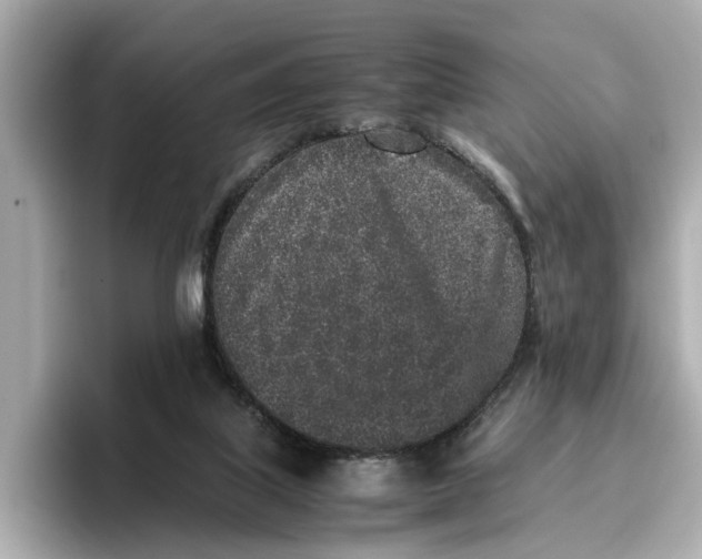 X0000096650067200802261330