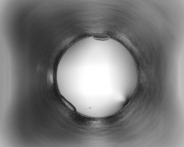 X0000096650068200802261330