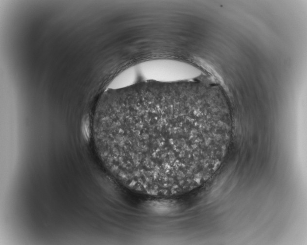 X0000096650069200802261330