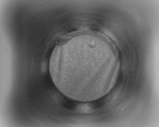 X0000096650073200802261330