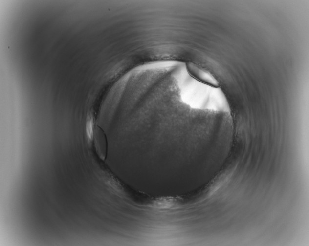 X0000096650076200802261330