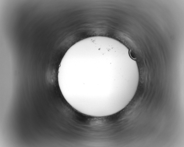 X0000096650077200802261330