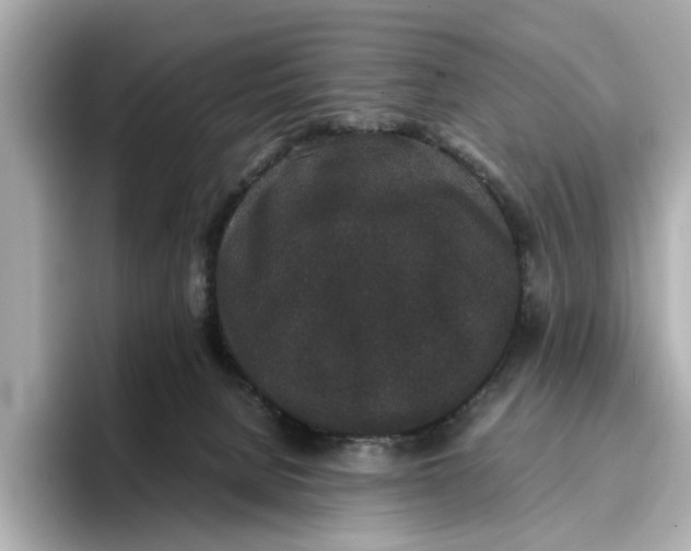 X0000096650080200802261330