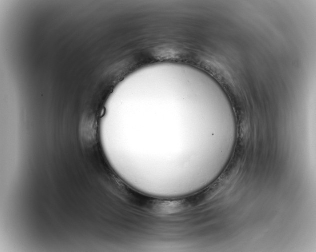 X0000096650081200802261330