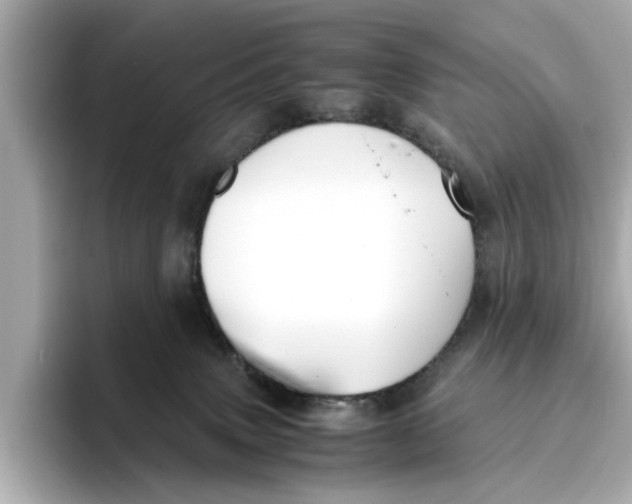 X0000096650083200802261330