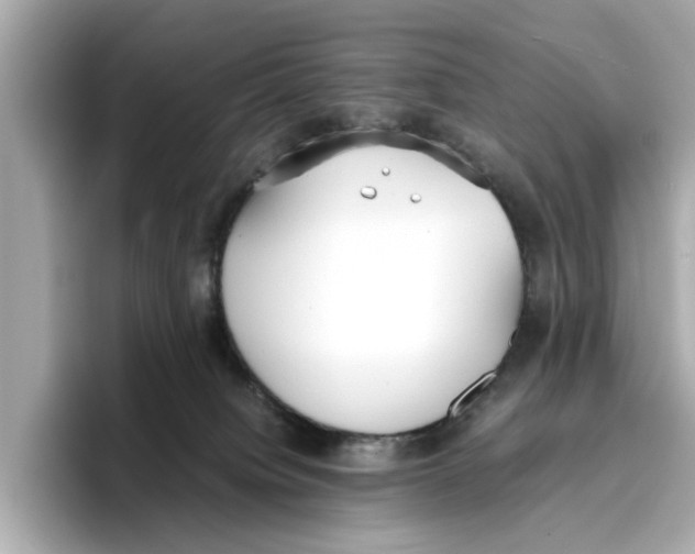 X0000096650084200802261330