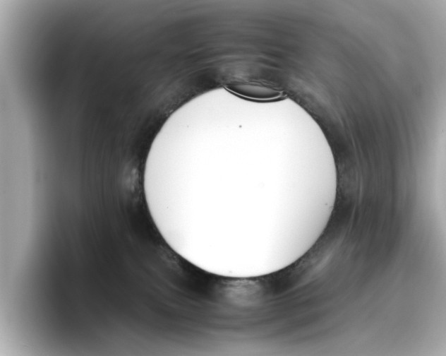 X0000096650087200802261330