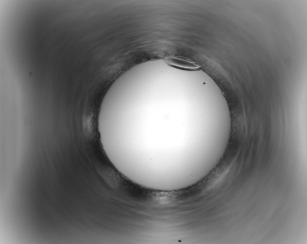 X0000096650088200802261330