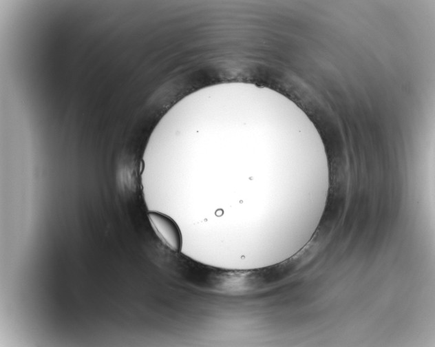 X0000096650090200802261330