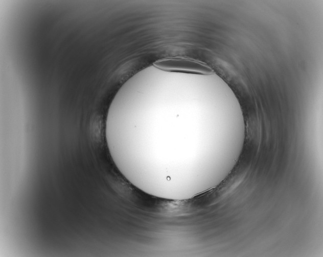 X0000096650092200802261330