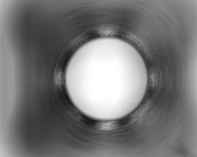 X0000096650093200802261330