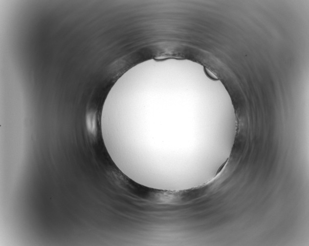 X0000096650094200802261330