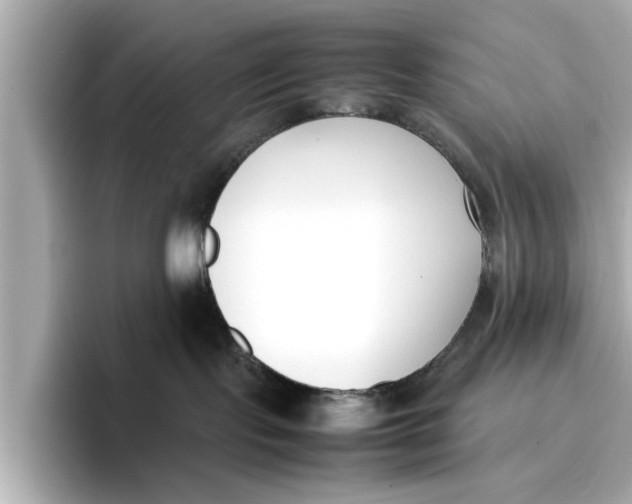 X0000096650095200802261330