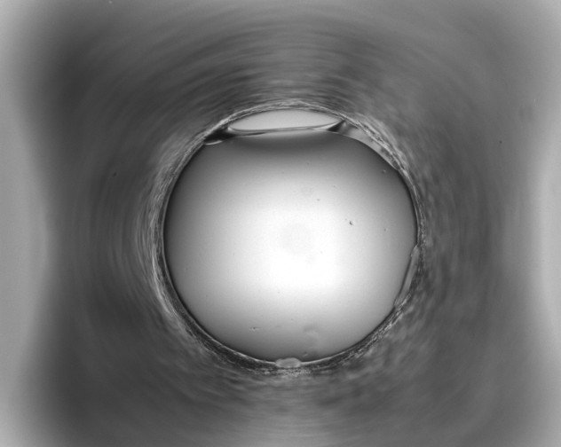 X0000096650097200802261329