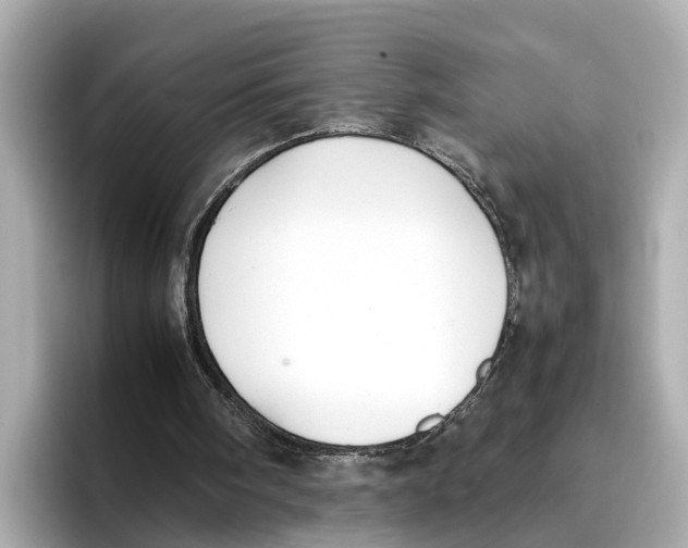 X0000096650098200802261329