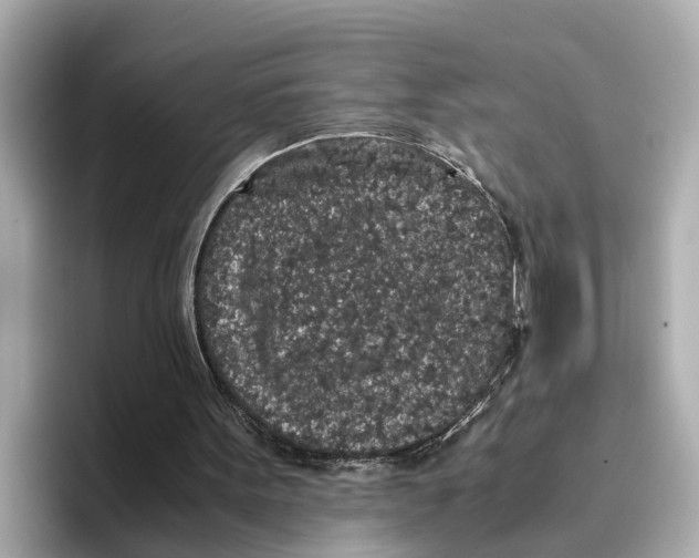 X0000096650099200802261329