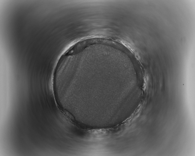 X0000096650100200802261329